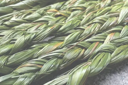 Braided Wiingashk (Sweetgrass)
